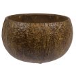 Authentic Coconut Cup 18oz For Sale