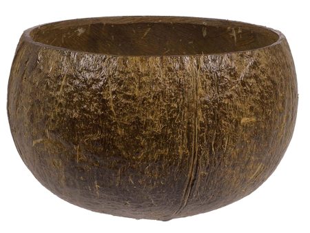 Authentic Coconut Cup 18oz For Sale