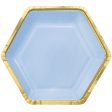 Ice Blue Metallic Hexagonal Paper Plates 9in 8pcs Cheap