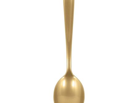 Gold Packaged Plastic Serving Spoons 2pcs For Cheap