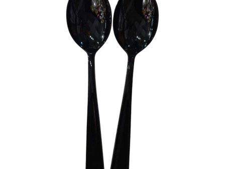 Jet Black Packaged Plastic Serving Spoons 2pcs Cheap